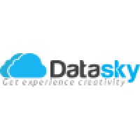 Data Sky Logo
