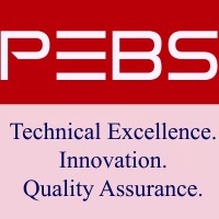 Pinnacle Enterprise Business Solutions, LLC Logo