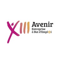 13 AVENIR Logo