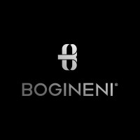 BOGINENI GROUP Logo