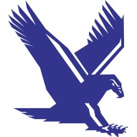 TBIRD Design Services Corp Logo