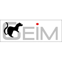 GEIM Logo