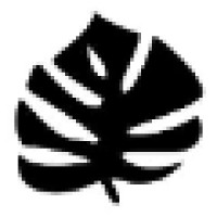 Monstera Agency & Promoters Logo