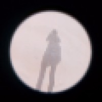 Denise Felkin Logo
