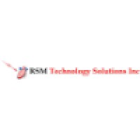 RSM Technology Solutions Inc. Logo