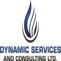 Dynamic Service & Consulting Ltd. Logo