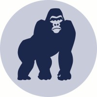 BlueKong Networks Logo
