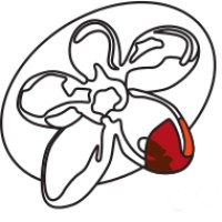 Australian Regenerative Medicine Institute Logo