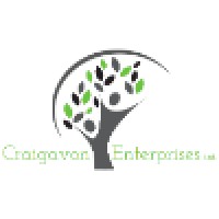 Craigavon Enterprises Ltd. Logo