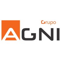 AGNI Group - Consulting & Software Development Logo