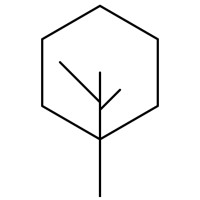 Leaf Technologies Logo