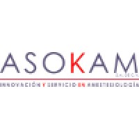 ASOKAM S.A. de C.V. Logo