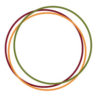 Center for Multicultural Science Logo