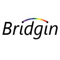 Bridgin Logo