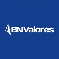 BN Valores Logo