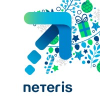 Neteris Consulting Logo