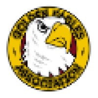 Manly Warringah Golden Eagles Association Logo