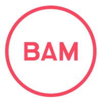 BAM Strategy Logo