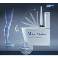 AmberFlo.Smart-T Logo