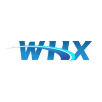 Wellshion International LTD Logo