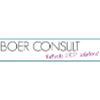 Boer Consult Logo