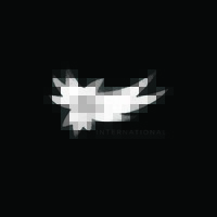 Word Made Flesh International Logo