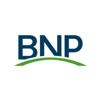Buffalo Niagara Partnership Logo