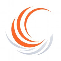 Consultics Group Logo