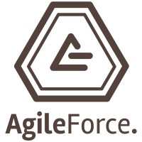 Agile Force | Less is more Logo