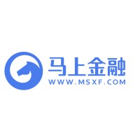 MSFinance Logo