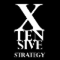 Xtensive Strategy Logo