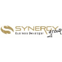 Synergy Group Business Developer Logo