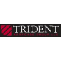 TRG -Trusted Risk Advisors for Leaders, Families, and Businesses. Logo