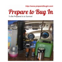 Prepare to Bug In Logo