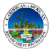 Caribbean-American Advancement Foundation, Inc Logo