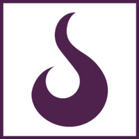 LBS Accountants & Advisers Logo