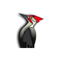 طراحی سایت دارکوب Logo