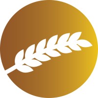 Aliy Photography Logo