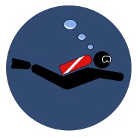 No Troubles Just Bubbles Logo