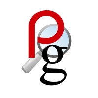 Pailin Group Professional Search Consultants Logo