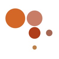 DPI - Shaping polymer innovation Logo