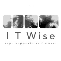 ITWise Kft. Logo