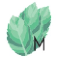 Mint Leaf Media Logo