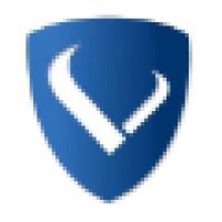 BonusVikings Logo