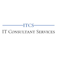 IT CONSULTANT SERVICES Logo