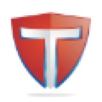 Tesla Systems Inc Logo