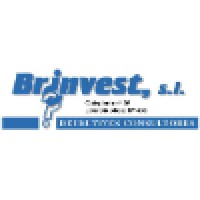 BRINVEST DETECTIVES Logo