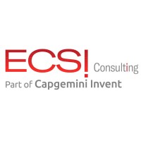 ECSI Consulting Logo