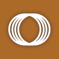 FI Consulting Logo