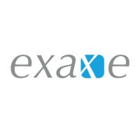 Exaxe Logo